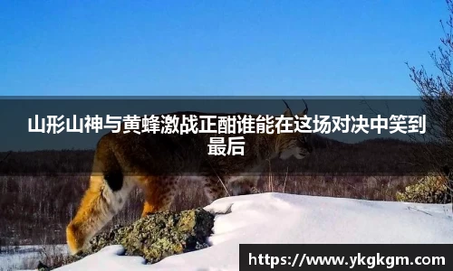 山形山神与黄蜂激战正酣谁能在这场对决中笑到最后